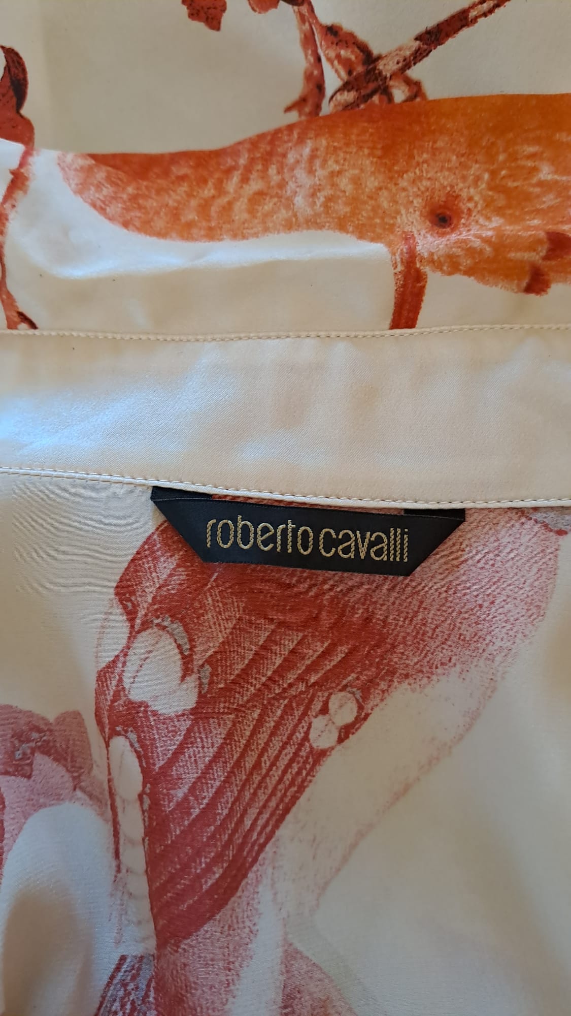 Roberto Cavalli Camicia Seta